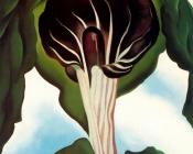 乔治亚 奥基夫 : Flowers in the Desert